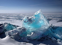 吃瓜不定时黑,揭秘娱乐圈幕后风云