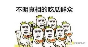 吃瓜群众看蛇,神秘与恐惧的交织