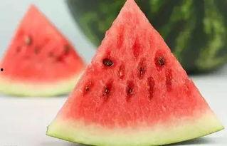 吃瓜关注fruit,聚焦“吃瓜”文化中的fruit魅力