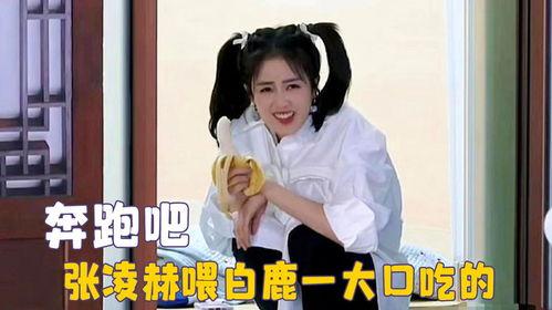 吃瓜直播讲白鹿,吃瓜群众围观娱乐圈风云