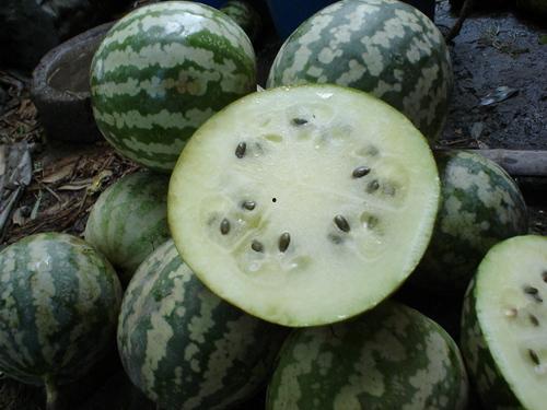 临川包瓜怎么吃,独特风味，多样食法体验