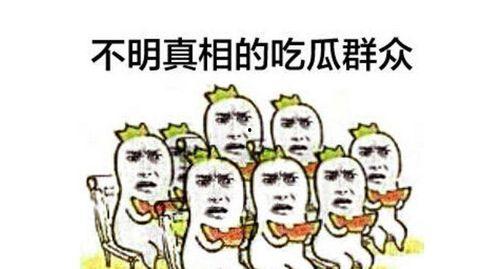 吃瓜群众别针文案,揭秘网络热议背后的趣味与真相