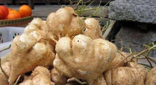 减脂吃土瓜,健康饮食新选择