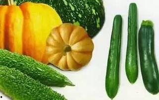 越南吃瓜事件详情,揭秘背后真相与网络舆论风暴