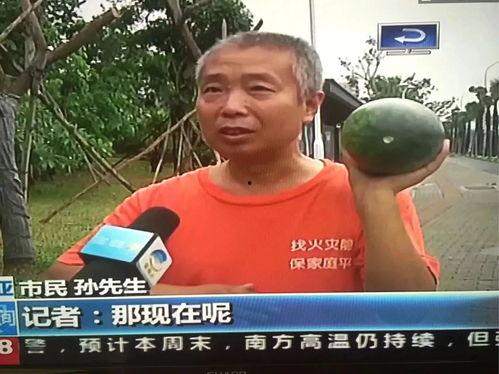 吃瓜群众受伤事件,公共安全意识需加强