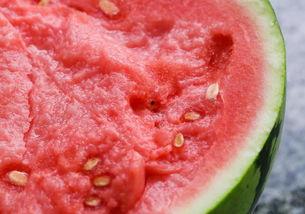 杭州培训吃瓜,吃瓜群众围观一幕幕精彩瞬间