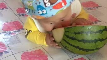 超级搞笑吃瓜,笑料横生！超级搞笑吃瓜大揭秘