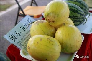 吃瓜协会,一场全民参与的趣味盛宴