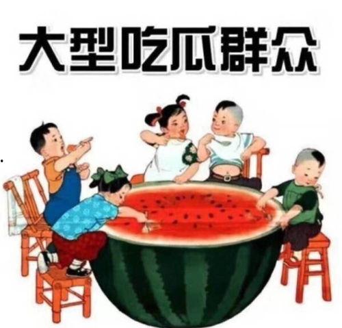 朵朵推文朝廷吃瓜,揭秘朝廷背后的“吃瓜”风云