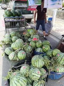 广宗最新吃瓜事件,揭秘背后真相与热议焦点