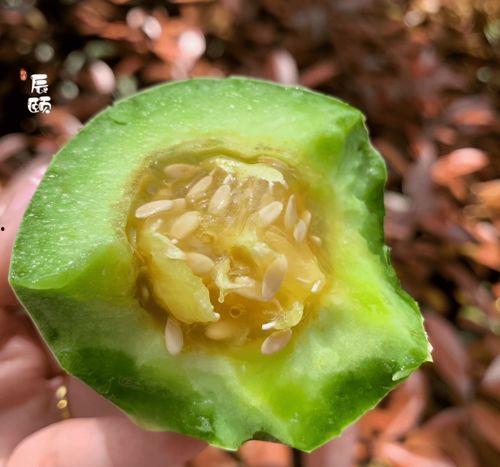 大白在吃瓜香蜜番外50