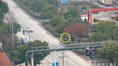 云里雾里吃瓜,瓜田里的欢乐时光