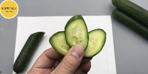 如何看懂吃瓜,教你如何成为吃瓜达人