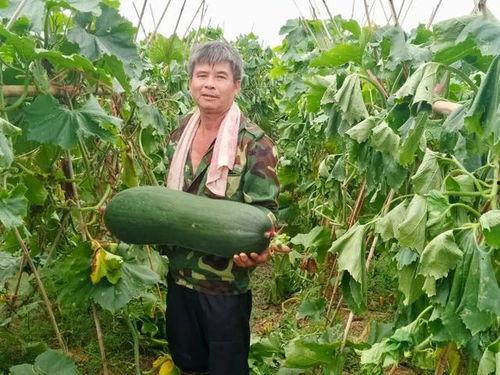 最劲爆的吃瓜,揭秘明星背后的惊人真相！